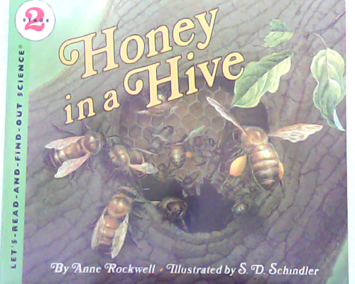 Let‘s read and find out science：Honey in a Hive L4.1